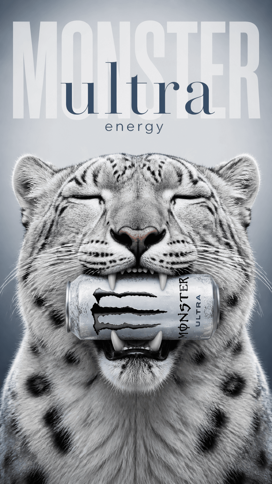 A vertically oriented commercial advertisement poster blendi