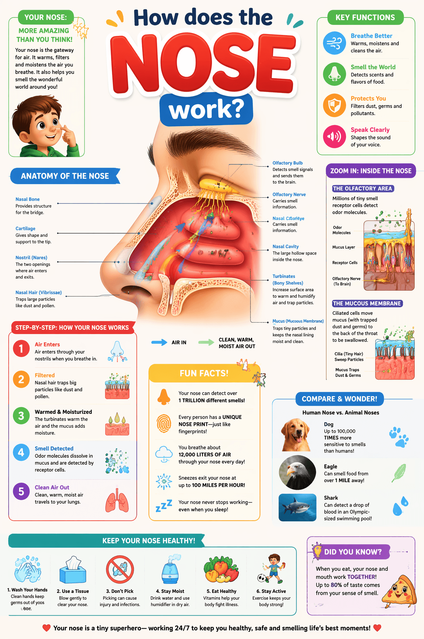 Just replace NOSECreate a highly detailed, colorful educatio