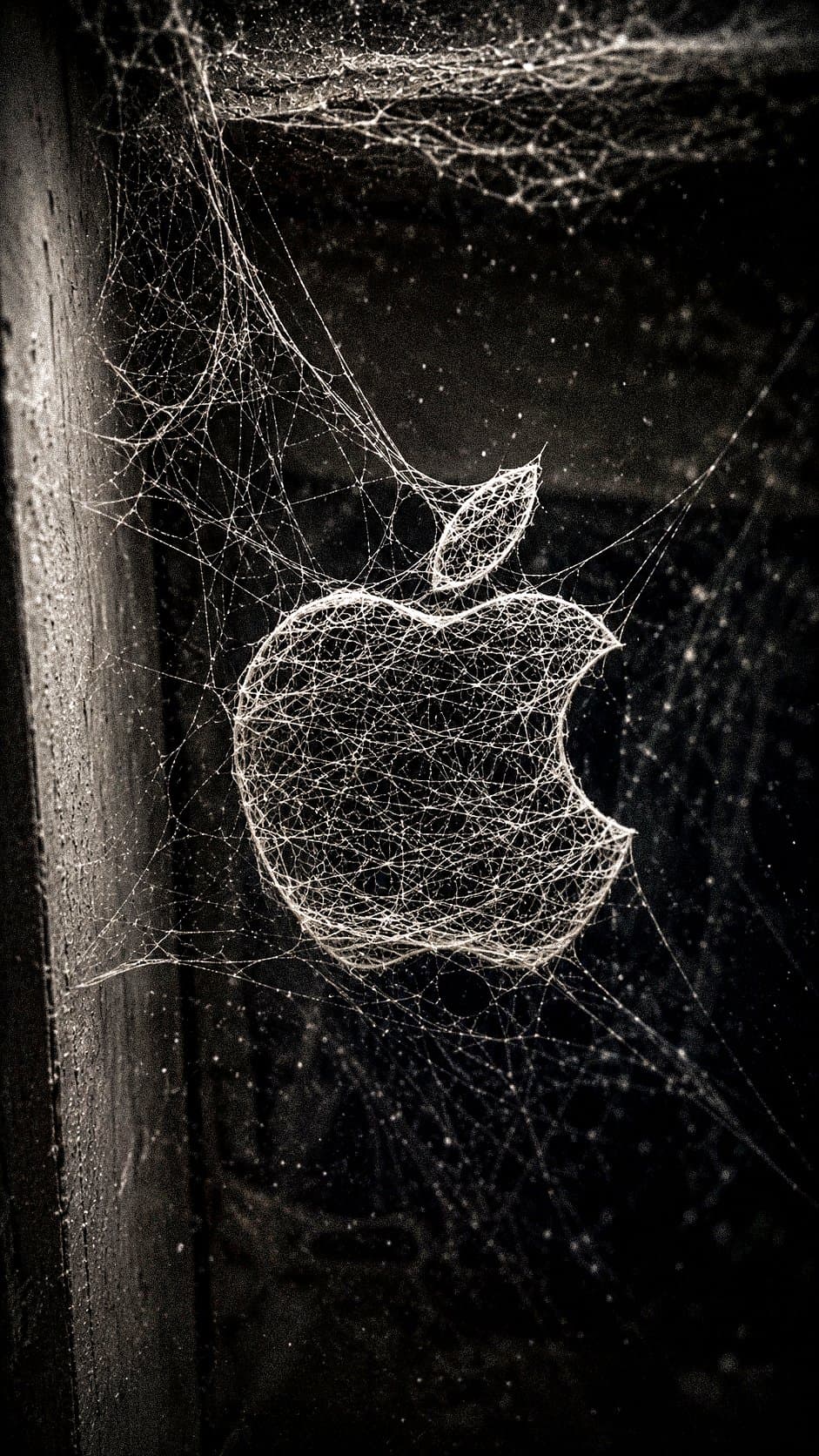 A highly realistic 3D spider web forming the [BRAND NAME + L