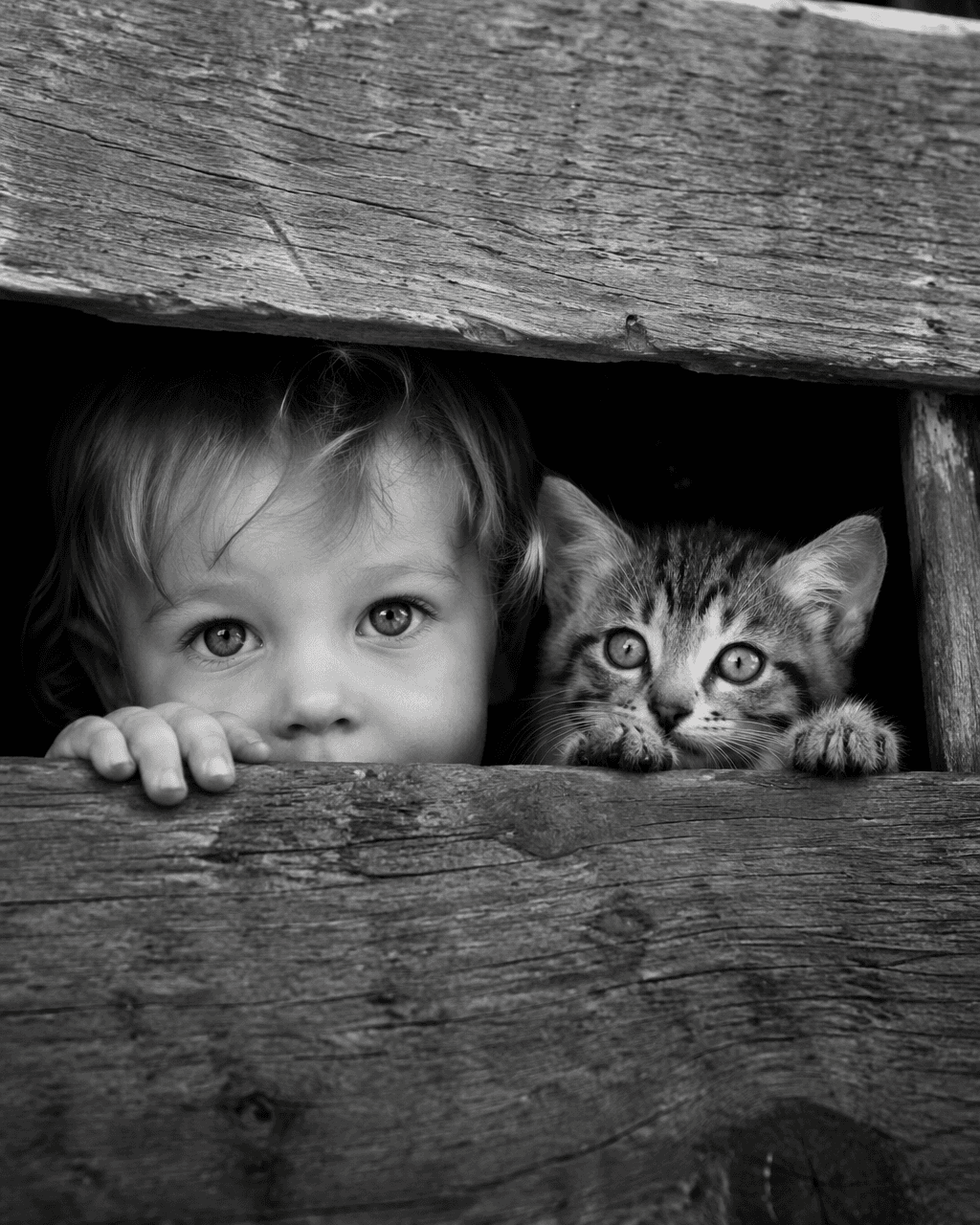 Black and white documentary photography, close-up shot, a li