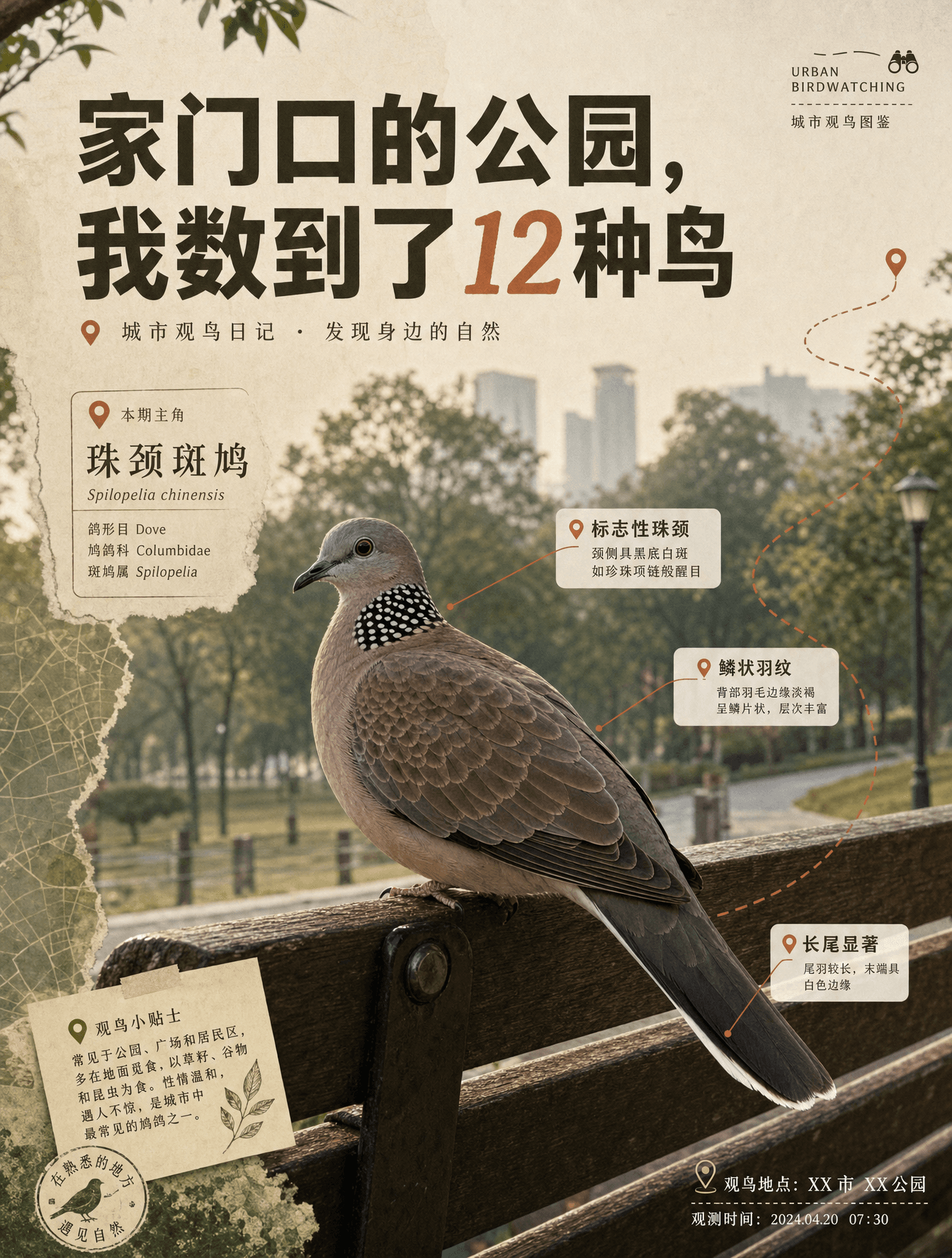 A striking Xiaohongshu cover page, 1080x1440px, strict 3:4 v