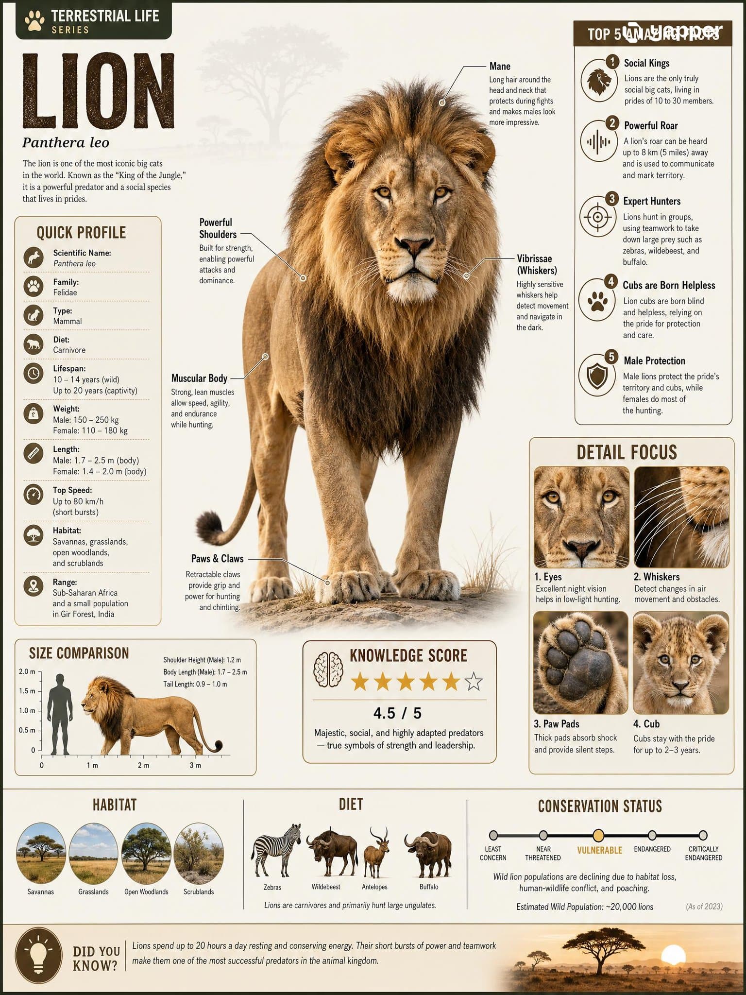 Based on { TOPIC }, create a high-quality vertical “encyclop