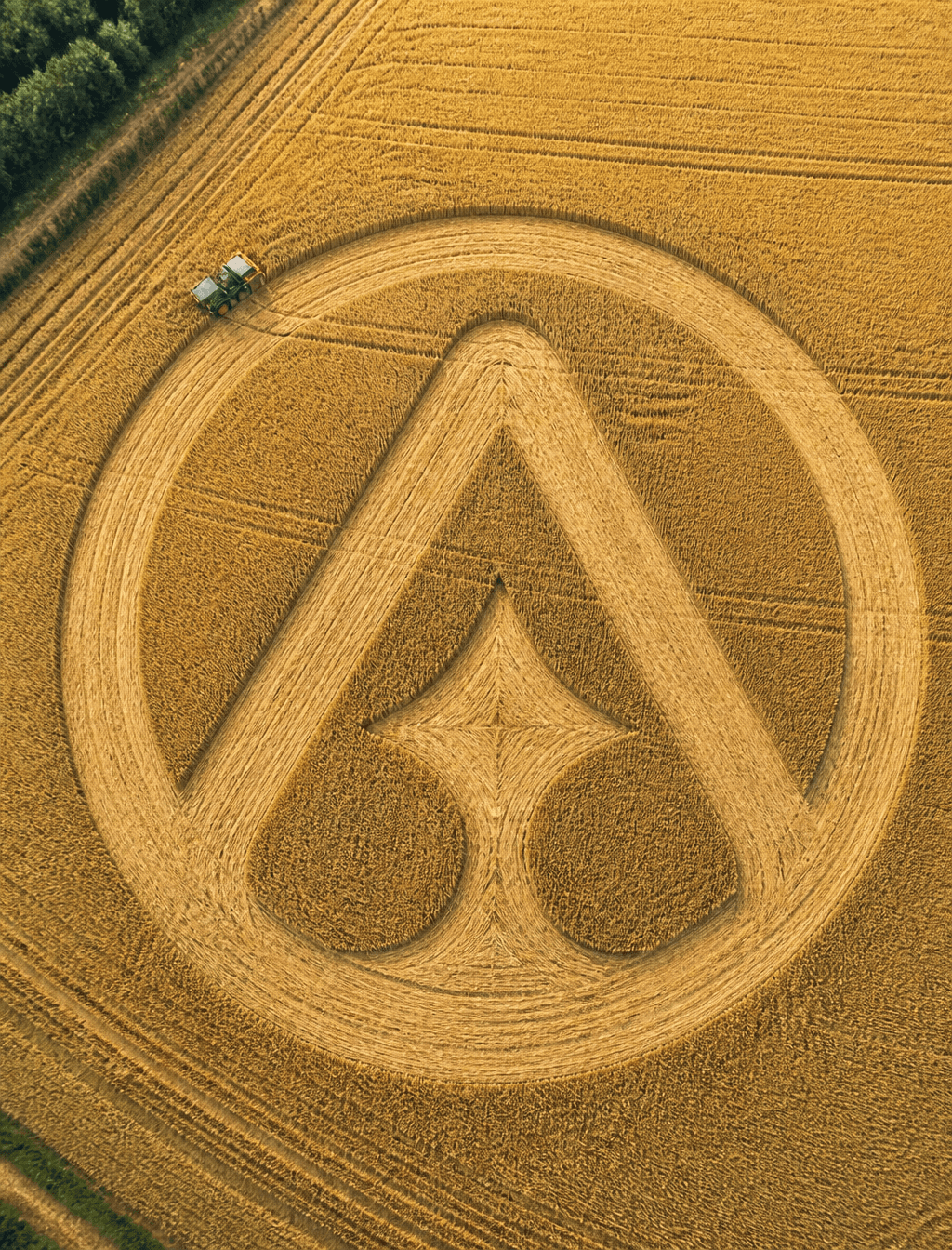 Aerial drone photo of a yellow wheat field, a tractor active