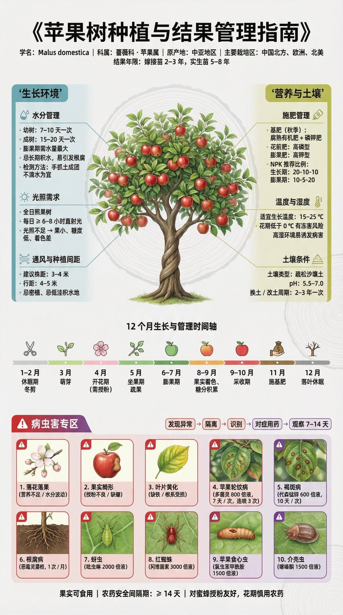 果树种植科普展板 | 3:4 竖版 | 博物馆级信息设计
【主标题】
「××果树种植与结果管理指南」
字体:思源黑体 /