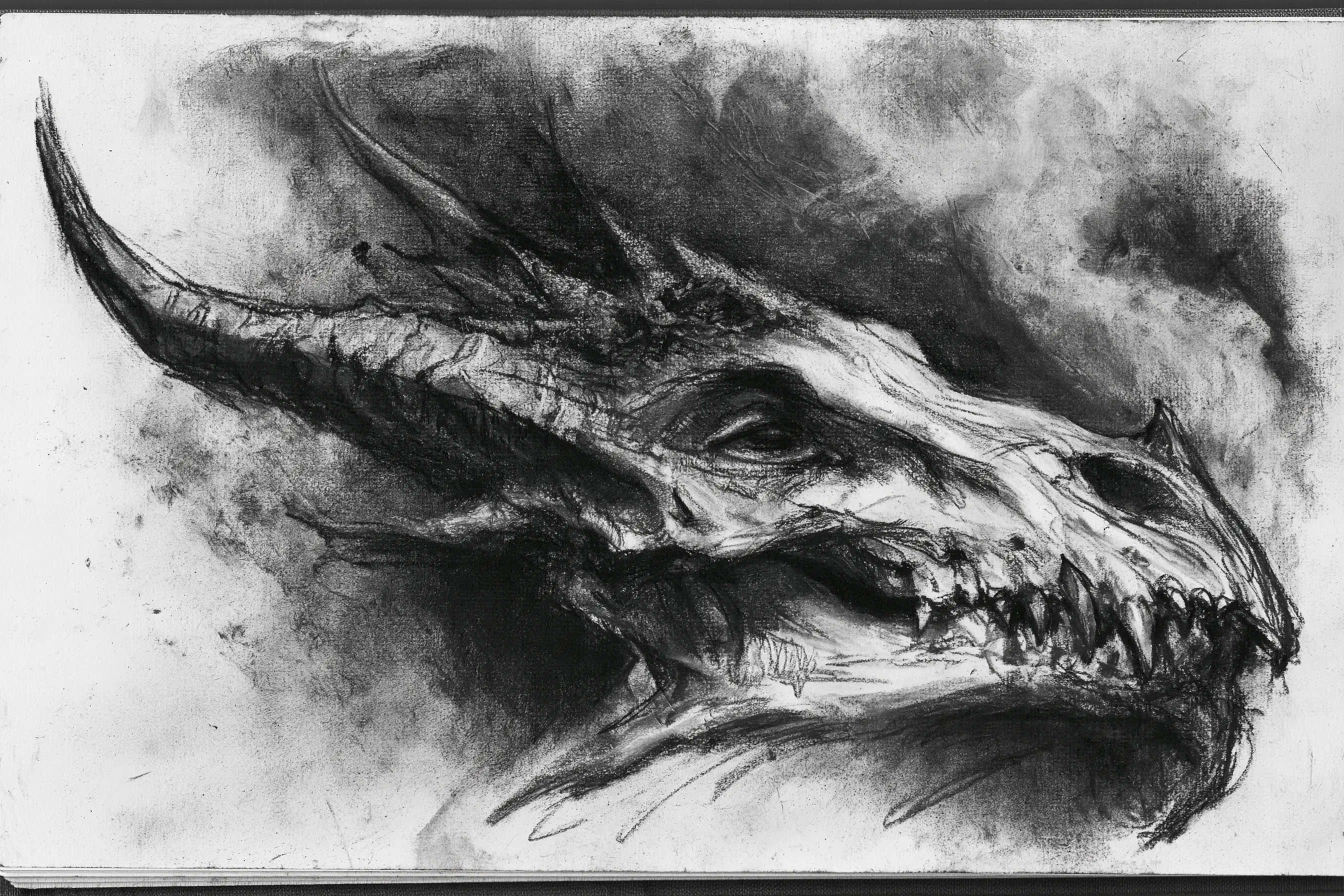 Gritty Charcoal

💬Prompt: A charcoal sketch of a [subject],