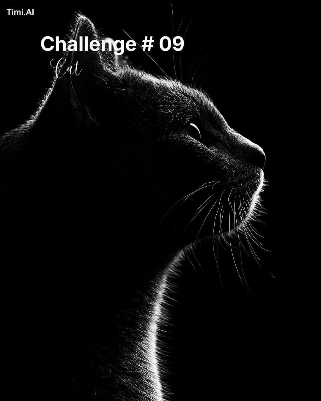 Creative Challenge #09: Cat
Create your best artwork inspir