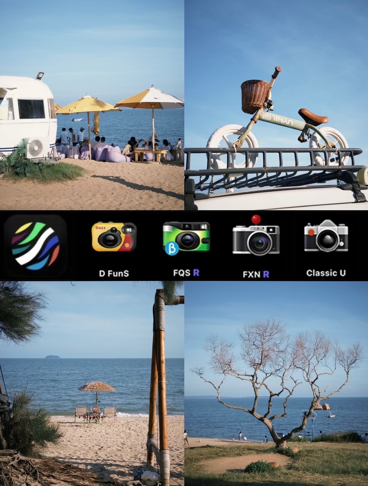 A collage of four film-style photographs depicting various b